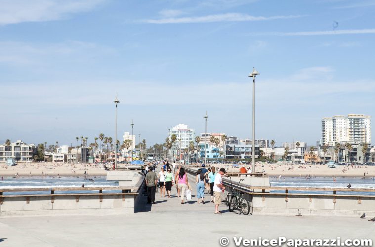 Vp Spotlight Hang Out At Washington Square Great Restaurants Bars Great Restaurants Bars S Nightlife Beach The Venice Pier And People Watching Are Main Activities In This Neighborhood
