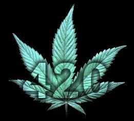 happy 420 venice paparazzi