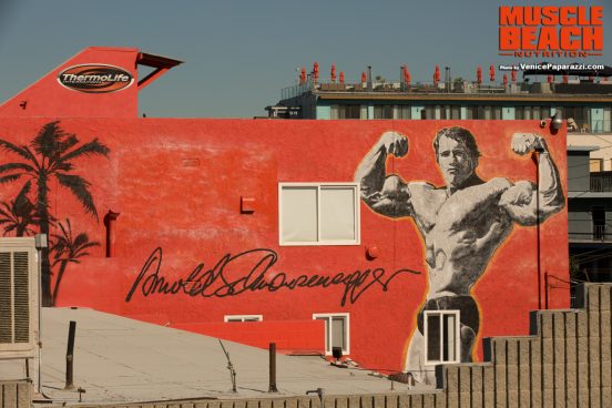 Muscle Beach Nutrition. www.MuscleBeach.com Photo by Venice Paparazzi