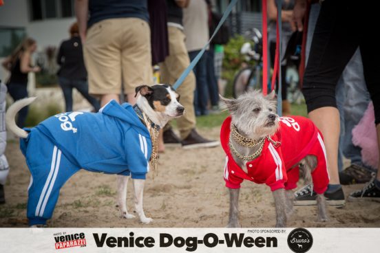 Venice Dog-O-Ween. Photos sponsored by www.BrunosVenice.com. Red carpet and photos by www.VenicePaparazzi.com.