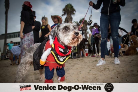 Venice Dog-O-Ween. Photos sponsored by www.BrunosVenice.com. Red carpet and photos by www.VenicePaparazzi.com.