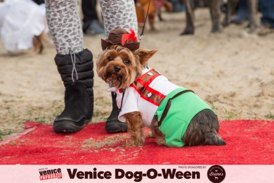 Venice Dog-O-Ween. Photos sponsored by www.BrunosVenice.com. Red carpet and photos by www.VenicePaparazzi.com.