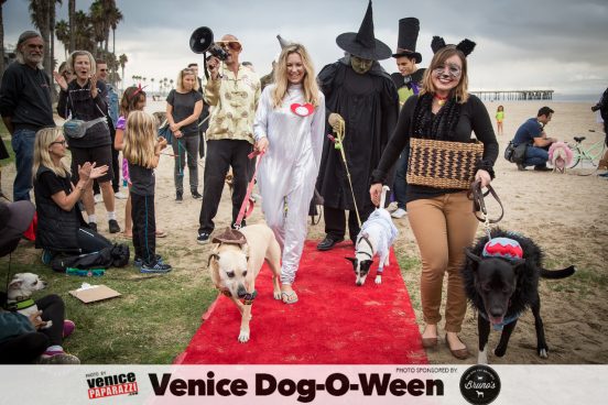 Venice Dog-O-Ween. Photos sponsored by www.BrunosVenice.com. Red carpet and photos by www.VenicePaparazzi.com.