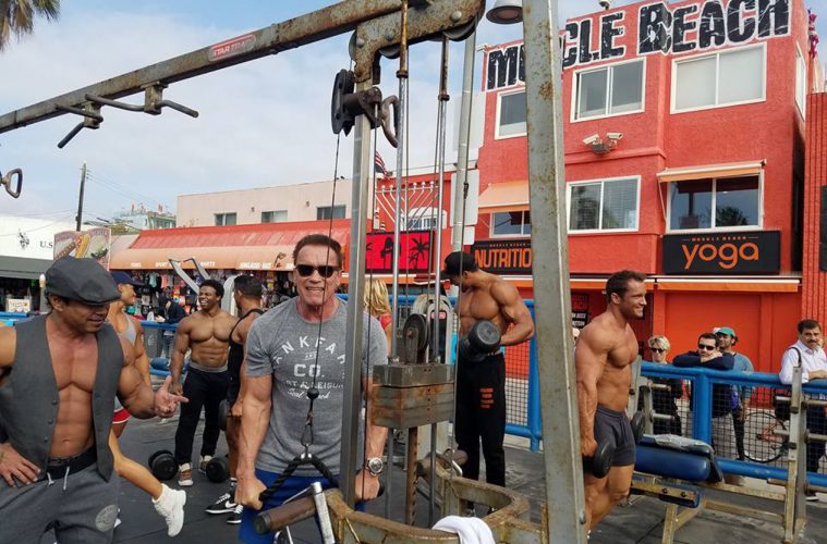 Arnold Schwarzenegger Spotted Training With The Locals At Muscle Arnold Schwarzenegger Spotted Training With The Locals At Muscle Beach Gym In Venice California