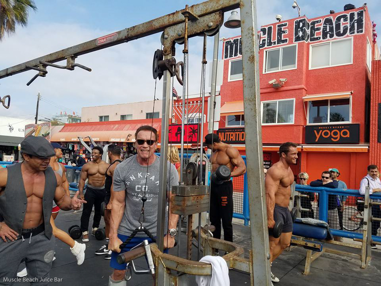 Arnold Schwarzenegger spotted training with the locals at Muscle Beach