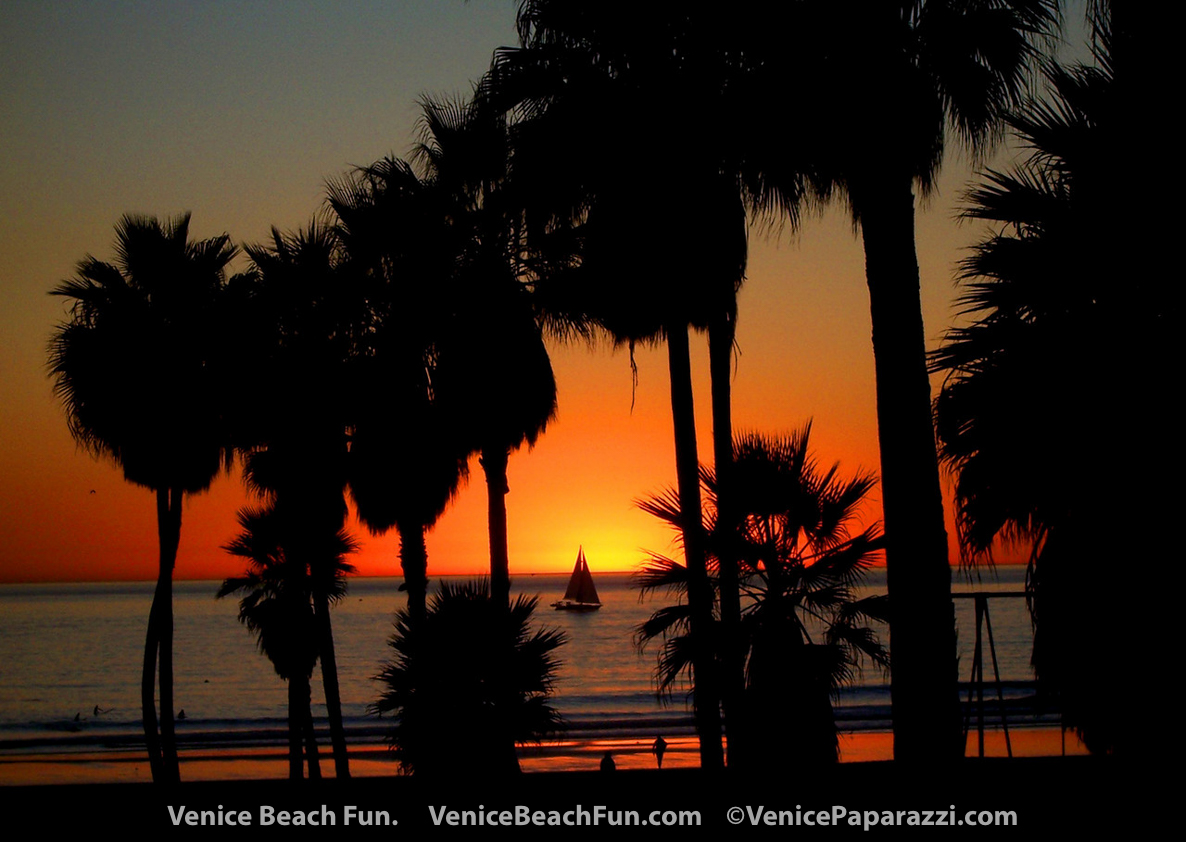 Venice Beach Sunset. Venice, California Photo by www.VenicePaparazzi.com