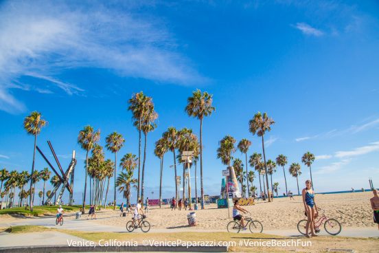 Venice Beach. © VenicePaparazzi.com