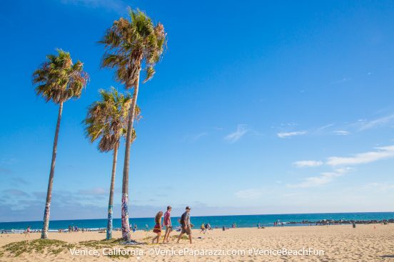 Venice Beach. © VenicePaparazzi.com